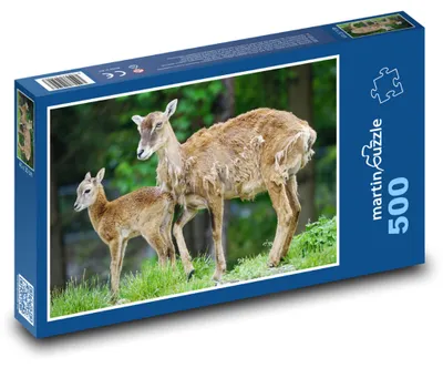 Obrázok produktu pre Puzzle 500 Muflón a jeho mláďa - martinpuzzle