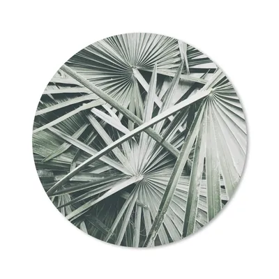 Produktbild von MuchoWow® Mauspad Mousepad Tropisch - Palmenblatt - Grün 30x30 cm - Mousepads - Maus Mat - Pad - Mausunterlage - Tischunterlage - Schreibtischmatten
