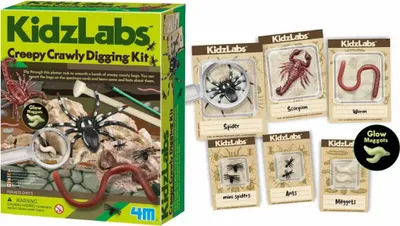 Produktbild von KidzLabs  Krabbeltierausgrabung, Inhalt: Gipsblock mit Krabbeltieren (Spinne, Skorpion,, Regenwurm, Ameisen, Mini-Spinnen, im Dunkeln leuchtende, Maden), Ausgrabungswerkzeug, Bürste, kleine und große, Exemplar-Karten, Blister-Hüllen, Lupe und ausführliche