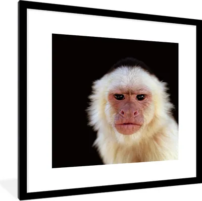 Produktbild von MuchoWow® Gerahmtes Poster Affe - Fell - Schwarz 40x40 cm - Poster mit Schwarzem Bilderrahmen Wandposter Rahmen Foto Bilder - Poster - Plakat im Rahmen