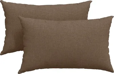 Image de vidaXL Coussins pour canapé, 2 pièces, tissu marron, 50 x 30 cm