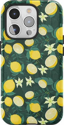 Image de Coque de protection pour iPhone 16 Pro Max avec MagSafe, résistante aux chocs – Coque de protection pour téléphone portable