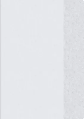 Produktbild von BRUNNEN Hefthülle A4 transparent Folie 104054499
