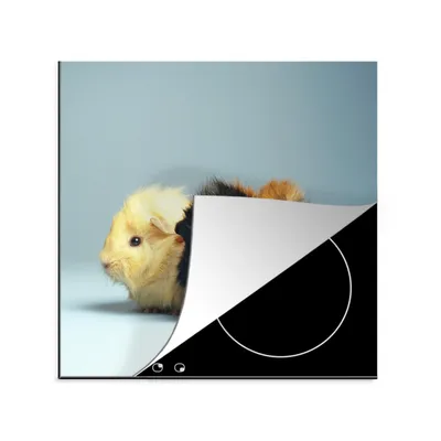 Produktbild von KitchenYeah© Herdabdeckplatte Zwei kleine Meerschweinchen , 78x78cm, Küche Deko, Glaskeramikkochfeld Herdabdeckung, Abdeckplatte fùr Kochfeld