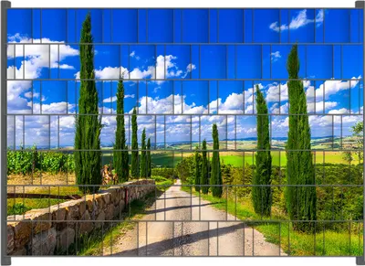 Produktbild von Wallario Zaunsichtschutz mit Motiv Zypressenweg in der Toskana für Ein- und Doppelstabmatten Zäune in der Größe 200 x 140 cm