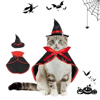 Zdjęcie produktu dla Kostium wampira dla psa kota halloween peleryna kapelusz zestaw