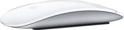Produktbild von Apple Magic Mouse 2 Silver One Size