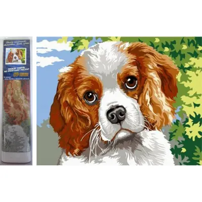 Obrázok produktu pre Norimpex diamantové maľovanie psích očí 30x40cm