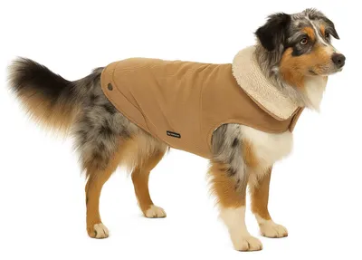Productafbeelding van Flamingo hondenkleding, model Endor, kleur beige, ruglengte: 55 cm