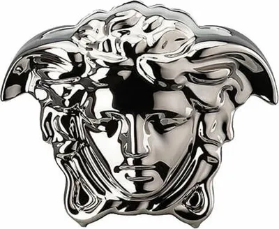 Zdjęcie produktu dla Wazon Rosenthal Versace Medusa Grande Silver, porcelana, 9 cm, 14493-426174-26009