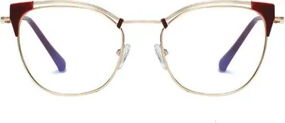 Image de Lunettes de correction Sunoptic 917D Graphite avec monture optique