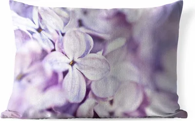 Produktbild von MuchoWow® Outdoor Kissen - Nahaufnahme von Lavendelblüten - 50x30 cm - Wetterfest - Lounge Kissen - Sofa kissen - Wohnzimmer Dekoration