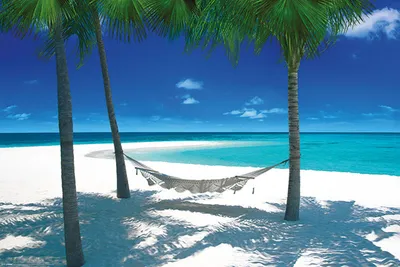 Immagine prodotto di Spiagge Beaches - Amaca in paradiso - poster stampato - formato 91,5x61 cm