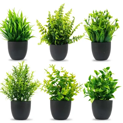 Image de Plantes artificielles, lot de 6, petites plantes artificielles, plantes en plastique d'aspect réaliste avec pots, pour la maison, le balcon, le bureau, la chambre à coucher, le bureau, la décoration de cuisine