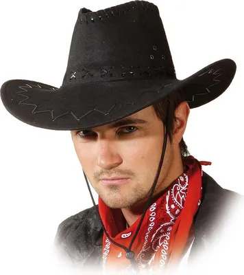 Produktbild von Westernhut, schwarz