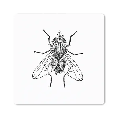 Produktbild von MuchoWow® Mauspad Mousepad Fliege - Tiere - Vintage - Schwarz und weiß 20x20 cm - Mousepads - Maus Mat - Pad - Mausunterlage - Desk Mat - Bureauartikeln