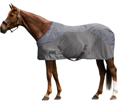 Immagine prodotto di Tappeto Waldhausen fly COMFORT pioggia grigio 165 cm