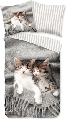 Produktbild von Duvet cover Pure 135x200 + 1* 80x80 cm - kitten cats
