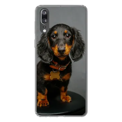 Produktbild von MuchoWow® Handyhülle Schutzhülle Hülle für Huawei P20 Studiofoto eines Dackelwelpen Silikon Softcase Handy Hülle - Hardcover