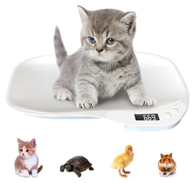 Produktbild von Digitale Tierwaage – bis 15 kg – präzise auf 1 Gramm – für kleine Tiere und Welpen