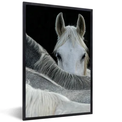 Produktbild von MuchoWow® Gerahmtes Poster Pferde - Tiere - Schwarz - Weiß 40x60 cm - Poster mit Schwarzem Bilderrahmen Wandposter Rahmen Foto Bilder - Papierdruck - Wandbilder