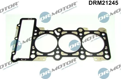 Produktbild von DR.MOTOR AUTOMOTIVE DRM21245 Zylinderkopfdichtung für AUDI A6 Avant (4G5, 4GD, C7) A6 Avant (4F5, C6) A4 Avant (8ED, B7) A6 Limousine (4G2, 4GC, C7)