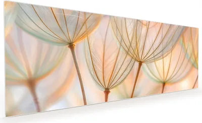Produktbild von Küchenrückwand Spritzschutz Glas mit Motiv Pusteblumen Kunst 40 x 40 cm