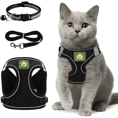 Immagine prodotto di Pettorina per gatti - Pettorina con guinzaglio - Regolabile con guinzaglio da 150 cm - Nero - Taglia S