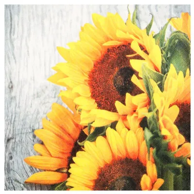 Produktbild von 20 Servietten Clara - Sonnenblumenbund 33x33cm