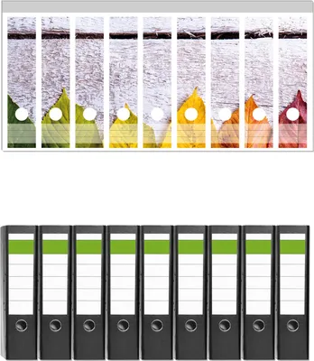 Produktbild von Wallario 9 Stück breite Ordner inkl. Klebeetiketten mit Motive Bunte Herbstblätter auf hellem Holz -  Set mit Rückenschildern / Ordnerrücken Stickern