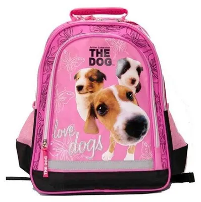 Image de Sac à dos scolaire Derform PL15TD26 multicolore à compartiments