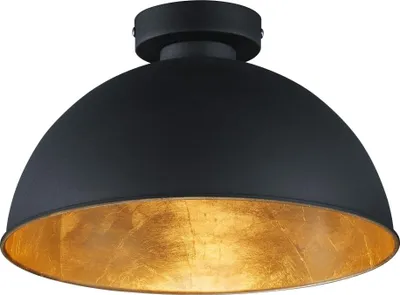 A black dome-shaped ceiling light with a gold interior.