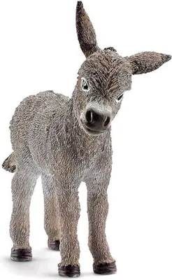 Produktbild von Schleich, Farmlife Esel-Figur in einer natürlichen und forschenden Haltung, Bunt