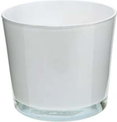 Produktbild von Moderner Glas Blumentopf für stilvolle Pflanzenarrangements