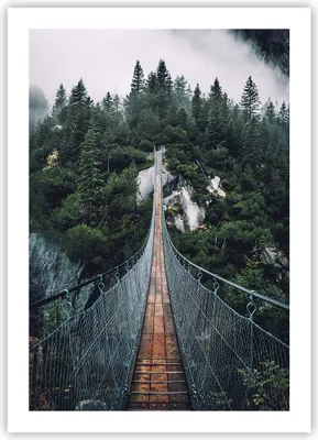 Produktbild von Poster - Poster ohne Rahmen - Ausgesetzt Brücke Wald - 50x70 cm - Wand Bild - Wanddeko - Wandbilder - Kunstposter - Wandposter - Bilder - Kunstdruck - Wanddekoration - Wandbild - P2XPA50x70-5189