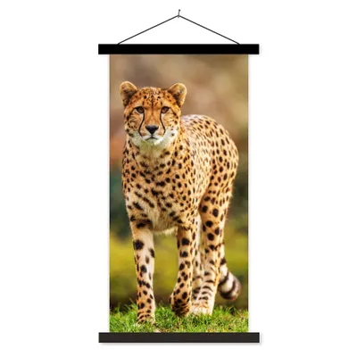 Produktbild von MuchoWow® Textilposter Wildtiere - Gras - Leopard - Natur 40x80 cm mit schwarzem Rahmen - Wandemalerei