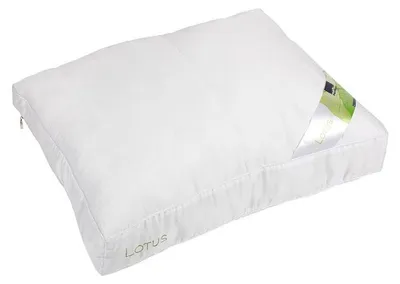 Produktbild von Polydaun Kopfkissen Lotus, 1000 Gramm