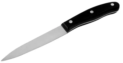 Image de Couteau office universel 22 cm Nirosta Fit