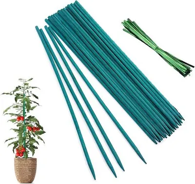 Obrázek produktu pro Bambusové opory pro popínavé rostliny – 50 kusů – 30 cm