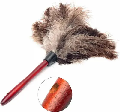 Produktbild von Straußenfeder-Staubwedel, Staubwischer, Staubwedel, Holzbürste, Staubfeder