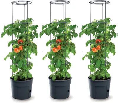 Produktbild von 3 Stück Blumentopf Tomatentopf 115cm Topf für Tomatenpflanzen 12L Tomatenzucht Tomatenkübel Tomatenzüchter Set Tomatenpflanze KG