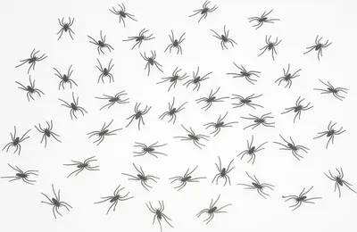 Produktbild von 50er Set "Spinnen" - 3,7 cm | Schwarz - Halloween Dekoration