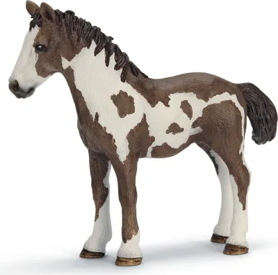 Image de Schleich 13695 Pinto yearling
