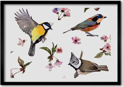 Produktbild von Bild - Bilderrahmen - 100 cm x 70 cm - MDF - Rahmen - Foto - Wandkunst Vogel-Kirschblüten
