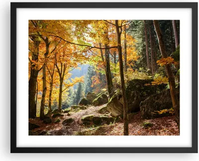 Produktbild von Gerahmtes Poster - Schwarzer Rahmen - Herbst berg wald natur - 50x40 cm - Wand Bild - Wanddeko - Wandbilder - Kunstposter - Wandposter - Bilderrahmen - Bilder - Kunstdruck - Wandbild - P2BAA50x40-2713