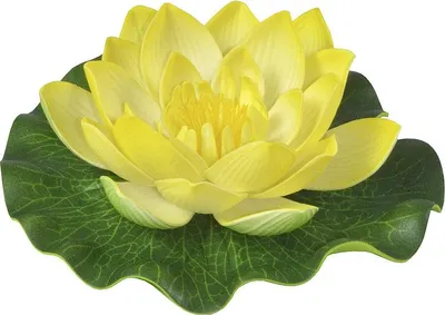Produktbild von Heissner künstliche Seerose gelb Ø 10 cm