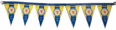 Productafbeelding van Eintracht Braunschweig vlaggenketting