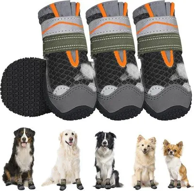 Immagine prodotto di Scarpe in gomma per cani di tutte le taglie: comode e antiscivolo, ideali sia per interni che per esterni