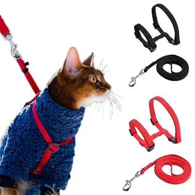 Immagine prodotto di Collare per gatti con guinzaglio, antiscappamento, regolabile