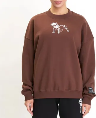 Produktbild von Damen-Pullover Amstaff Woman Basic Oversize, braun - Größe L